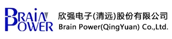 Brain Power Electronics logo